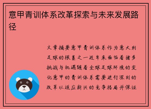 意甲青训体系改革探索与未来发展路径